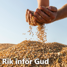 Rik inför Gud